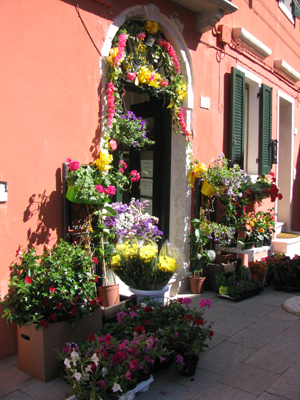 Burano Flower Shop