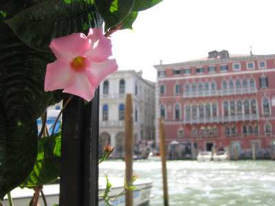 Venice 7608; lunch view across the Grand
                        Canal