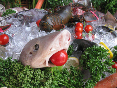 Venice 7797; what we didn't eat for lunch