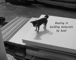 shipping in building materials by boat;
                            chihuahua driver